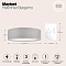 Светильник Maytoni MOD613CL-04GR